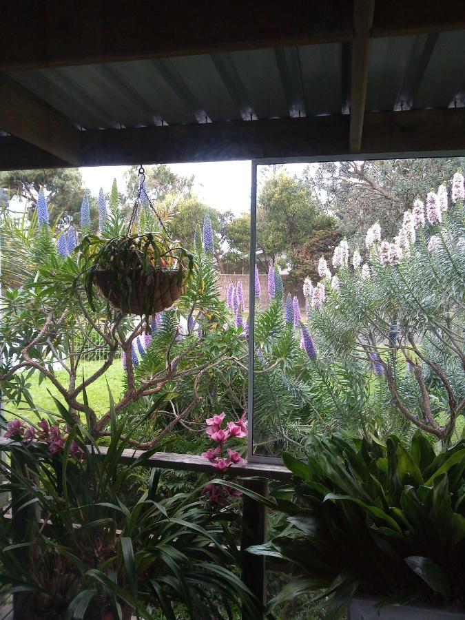 Lakes Entrance Waterfront Cottages With King Beds Exteriör bild