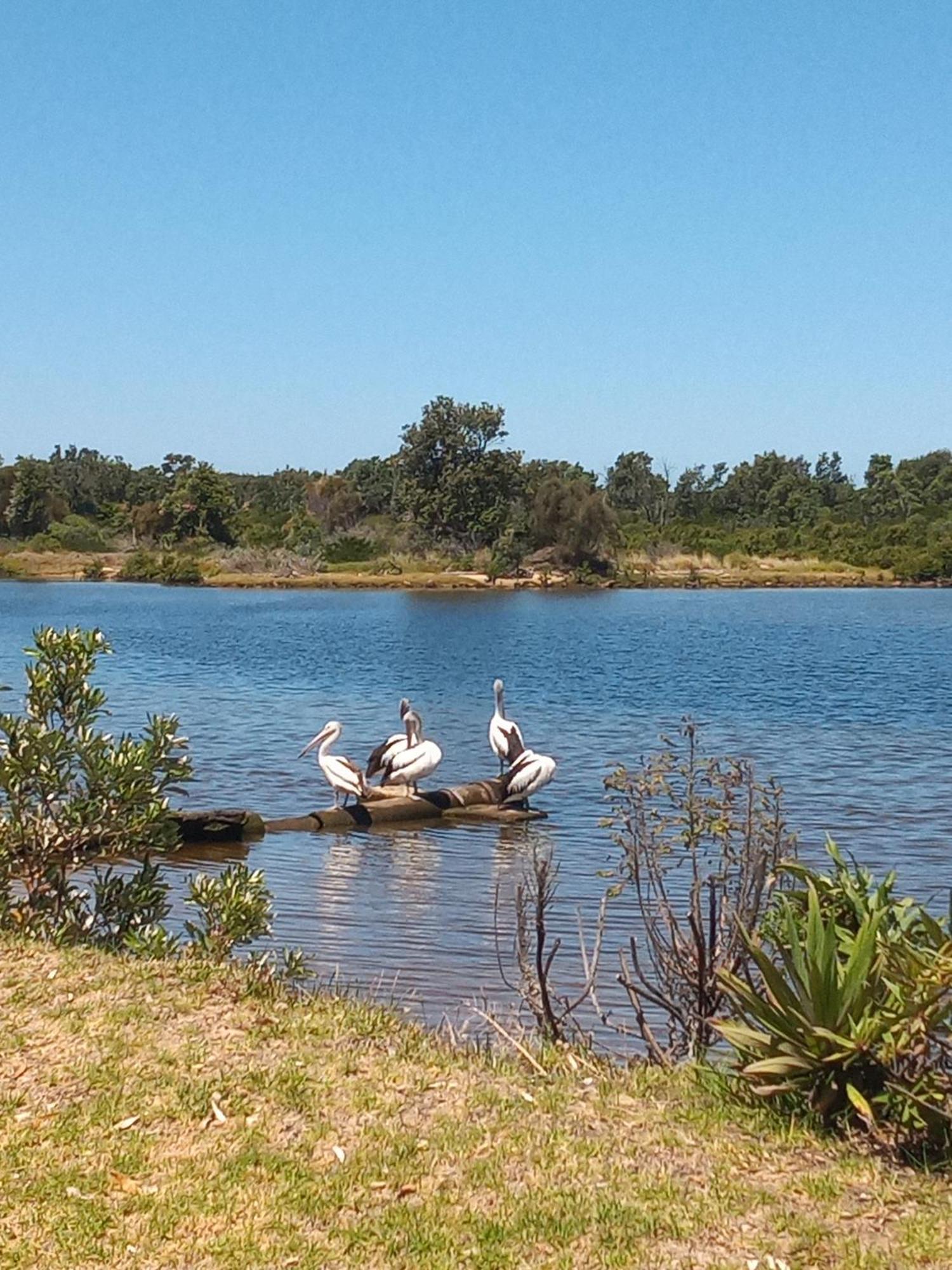 Lakes Entrance Waterfront Cottages With King Beds Exteriör bild