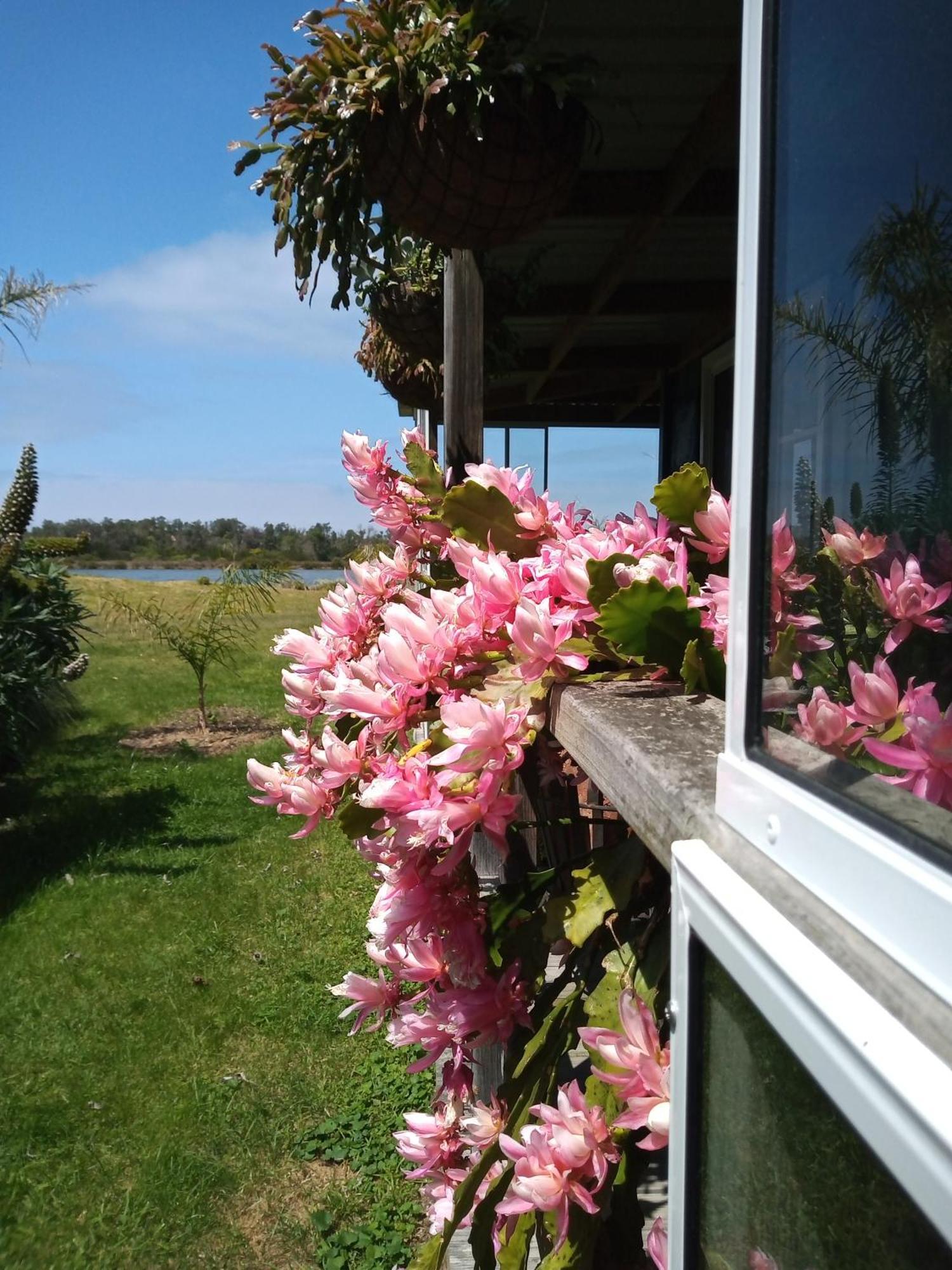 Lakes Entrance Waterfront Cottages With King Beds Exteriör bild