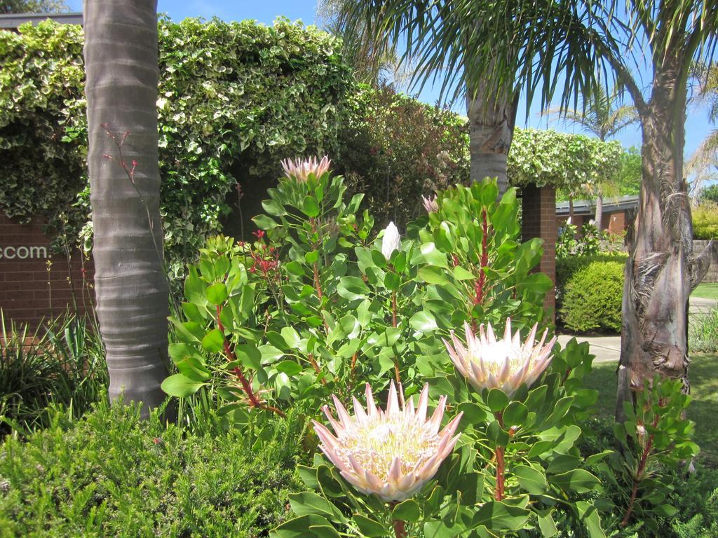 Lakes Entrance Waterfront Cottages With King Beds Rum bild