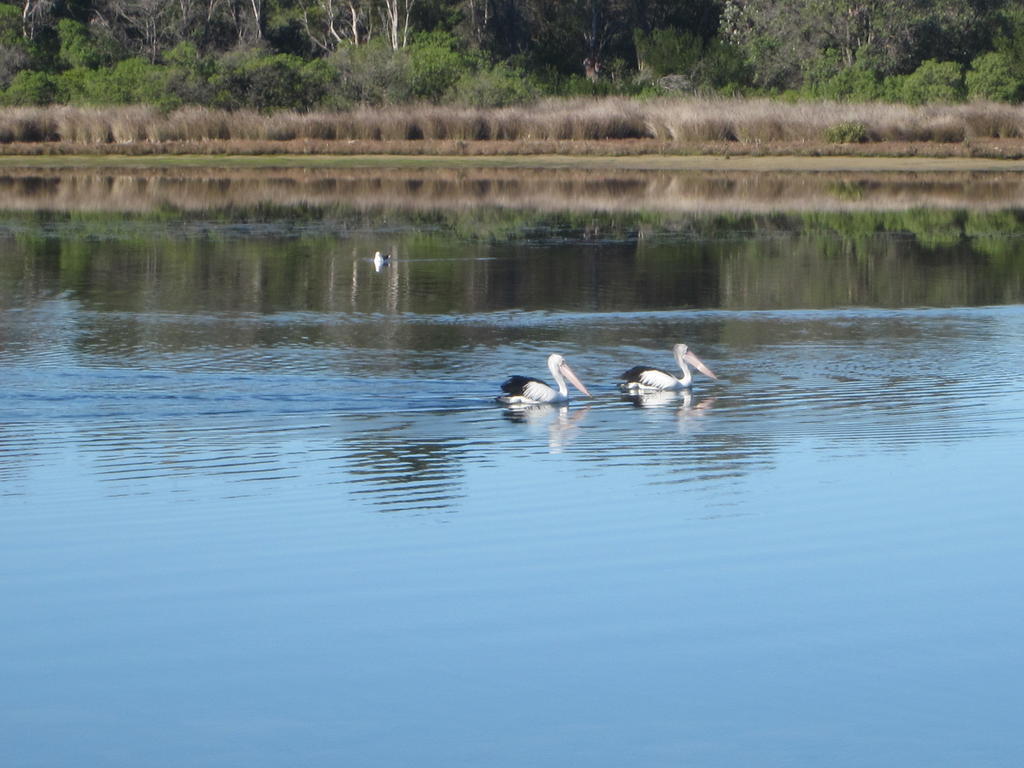Lakes Entrance Waterfront Cottages With King Beds Exteriör bild