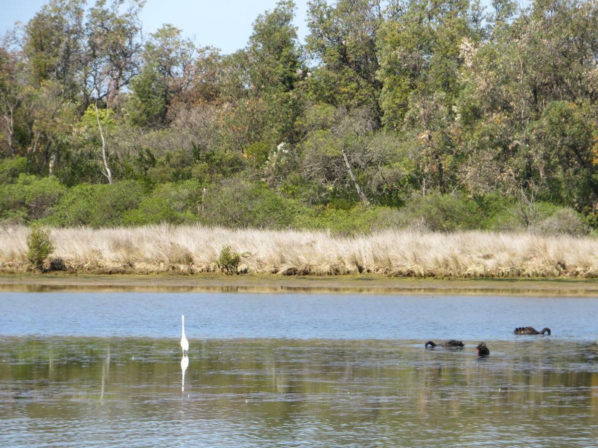 Lakes Entrance Waterfront Cottages With King Beds Exteriör bild